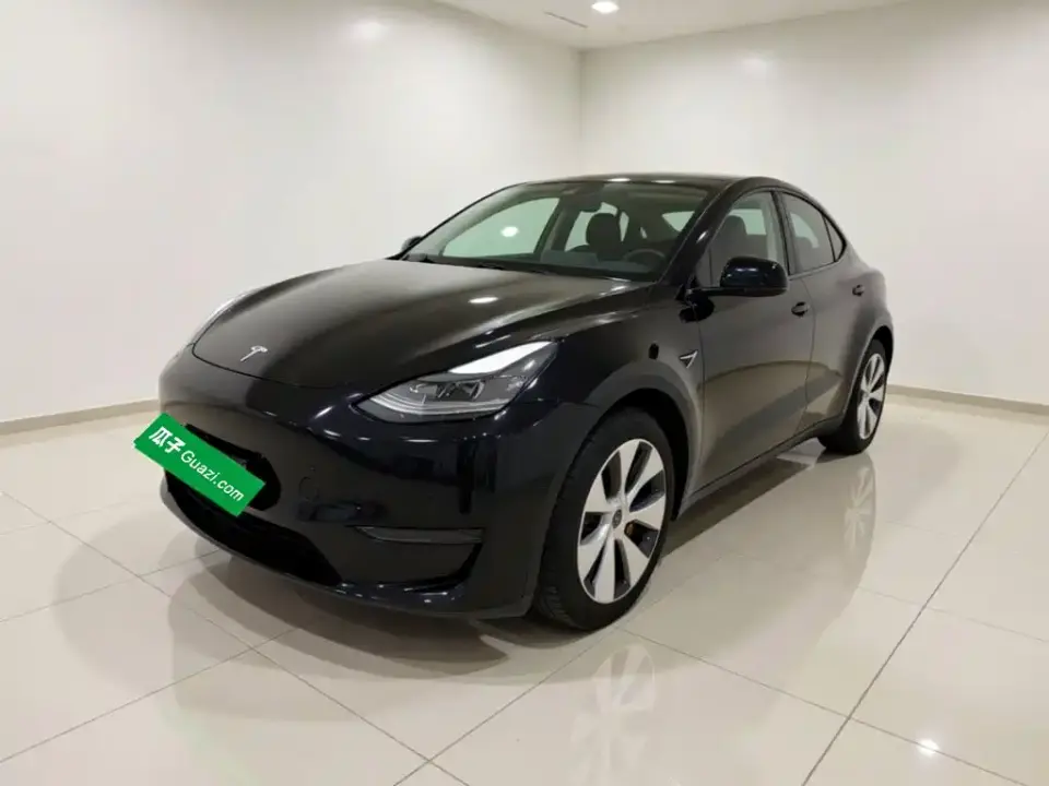 Tesla Model Y Standard Range Rear-Wheel Drive 2021