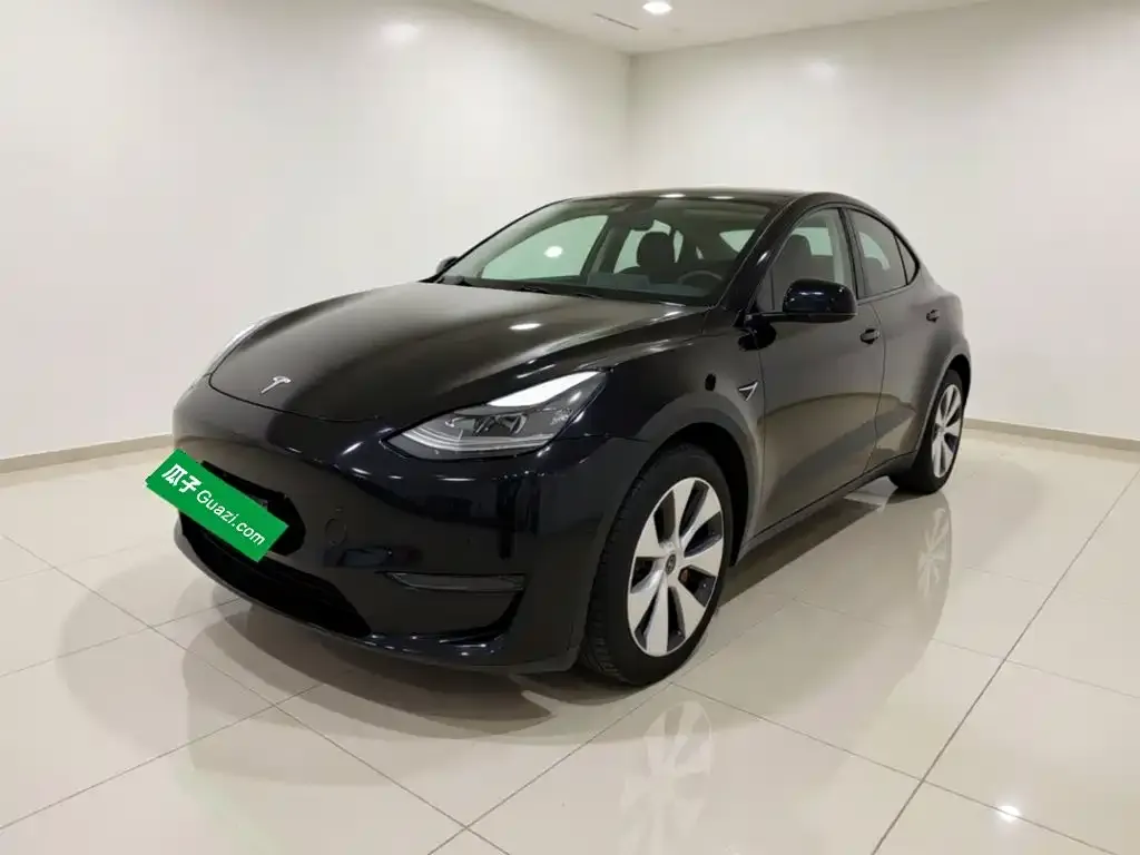 Tesla Model Y Standard Range Rear-Wheel Drive 2021