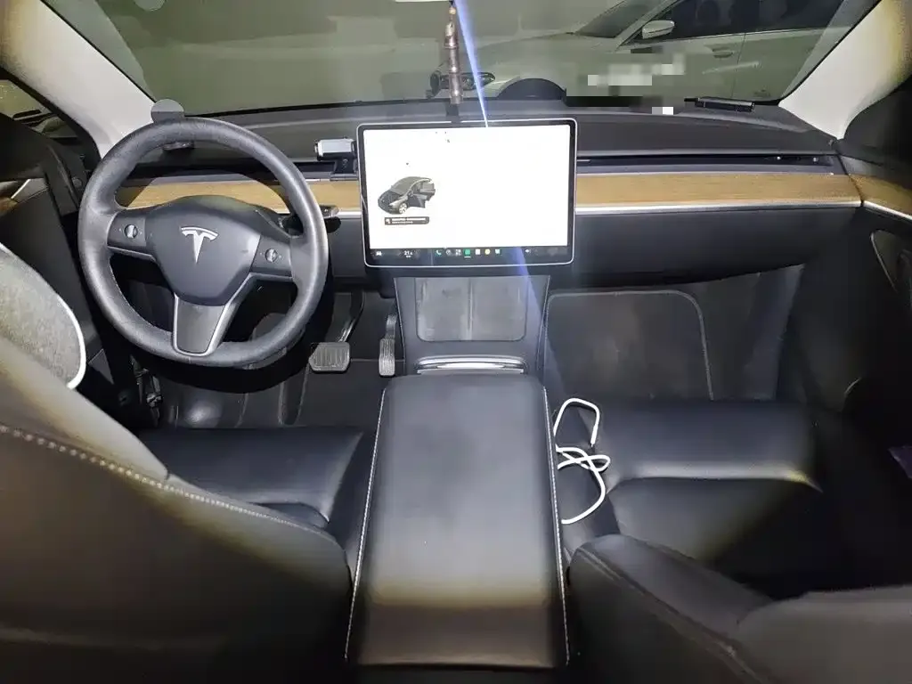 Tesla Model Y Standard Range Rear-Wheel Drive 2021 — фото 10