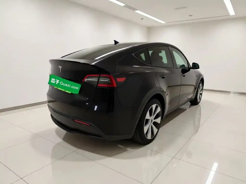 Tesla Model Y Standard Range Rear-Wheel Drive 2021 — фото 6