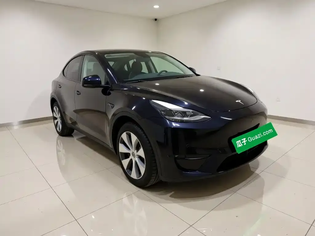 Tesla Model Y Standard Range Rear-Wheel Drive 2021 — фото 3