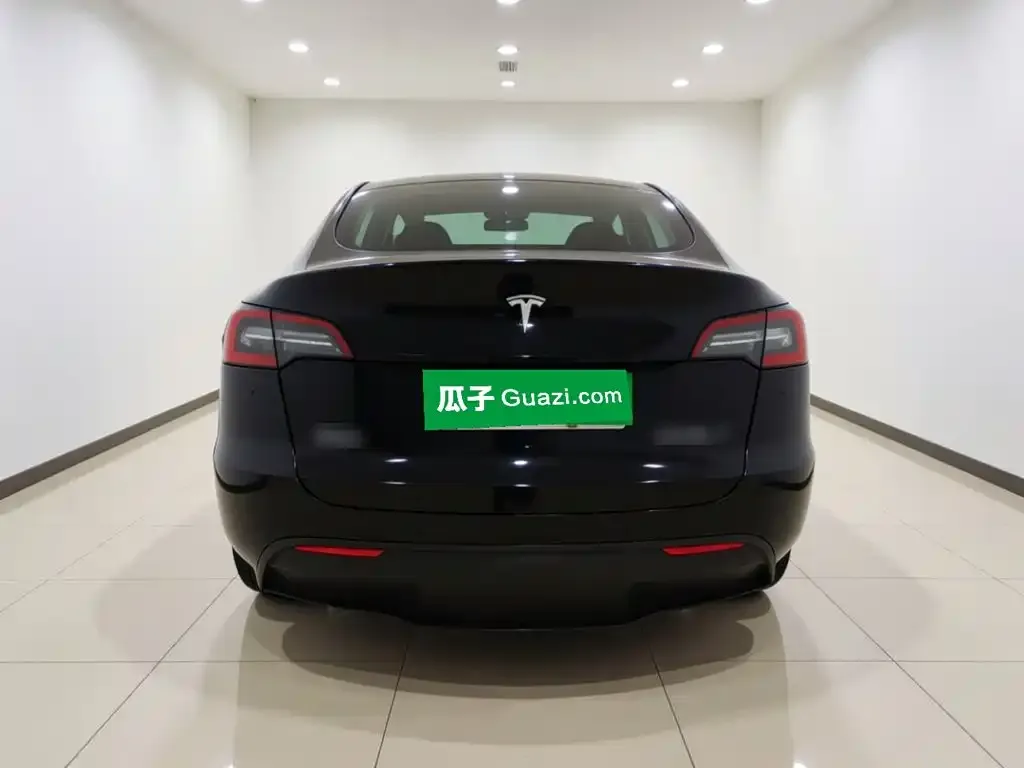 Tesla Model Y Standard Range Rear-Wheel Drive 2021 — фото 5