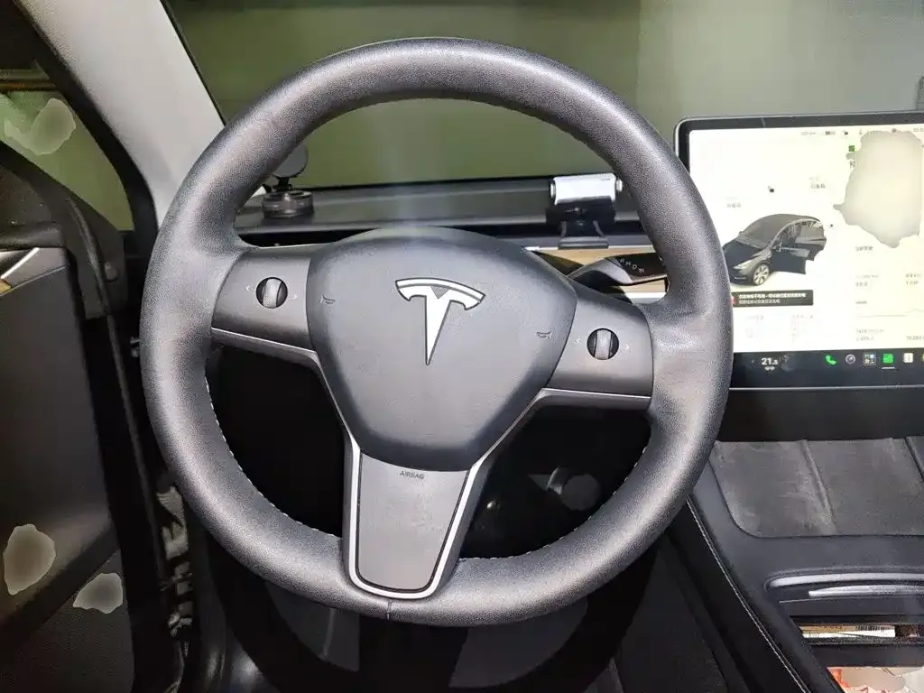 Tesla Model Y Standard Range Rear-Wheel Drive 2021 — фото 11