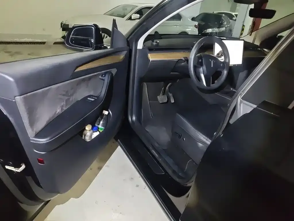 Tesla Model Y Standard Range Rear-Wheel Drive 2021 — фото 17