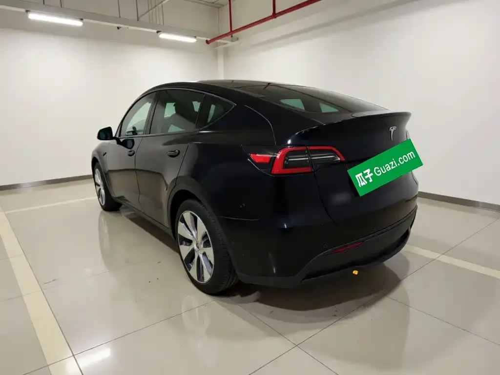 Tesla Model Y Standard Range Rear-Wheel Drive 2021 — фото 4