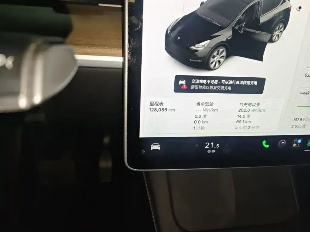 Tesla Model Y Standard Range Rear-Wheel Drive 2021 — фото 13