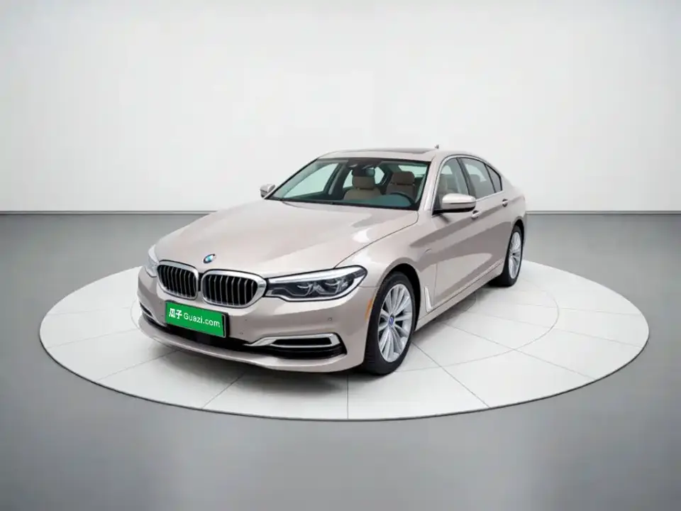 BMW 5 Series New Energy 530Le Luxury Package 2019