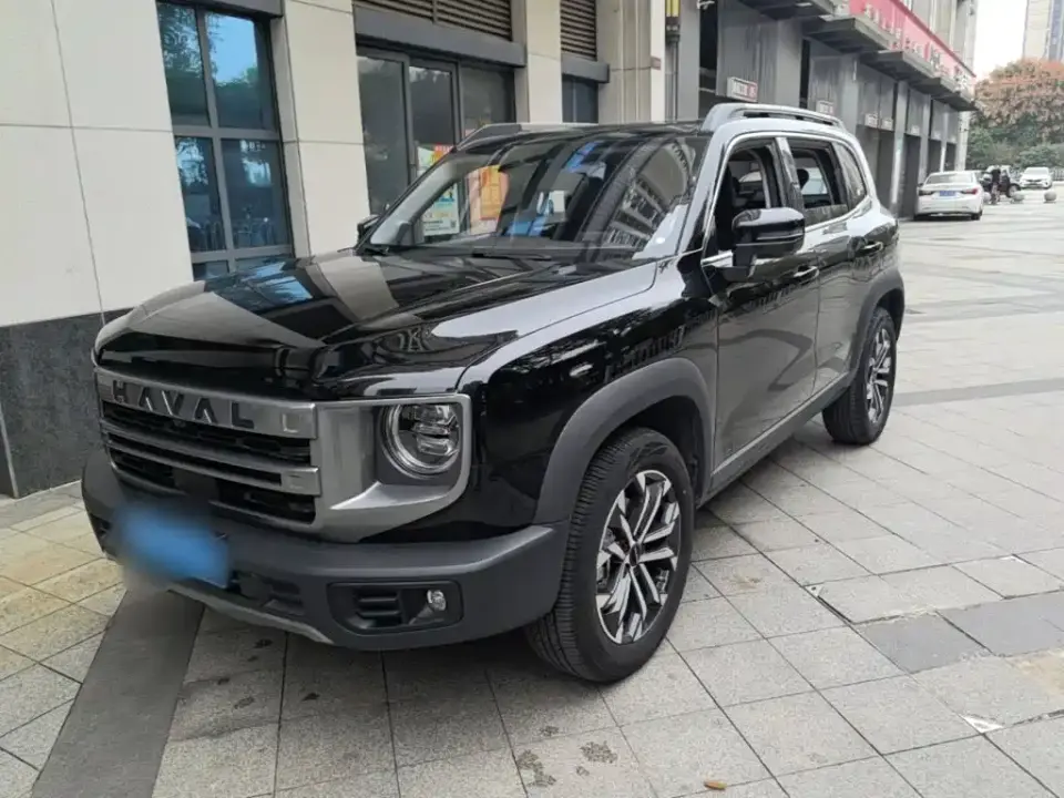 Haval Big Dog 1.5T DCT Border Collie Edition 2025