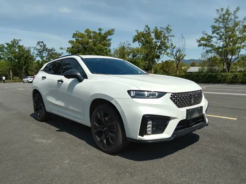 Wey VV7 Model 2.0T Flagship 2020