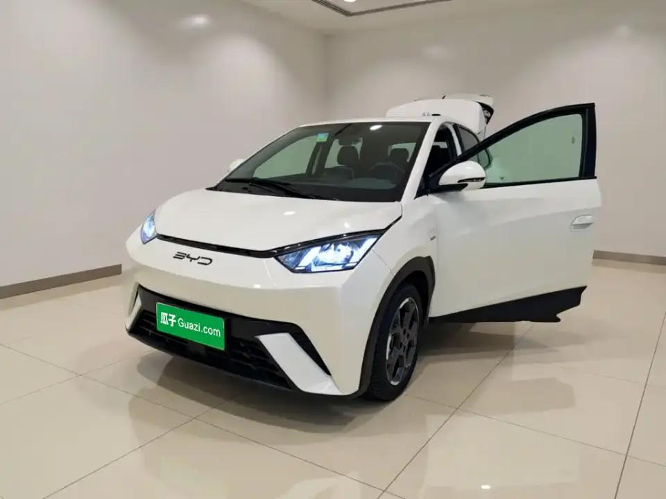 BYD Seagull 305km Freedom 2024