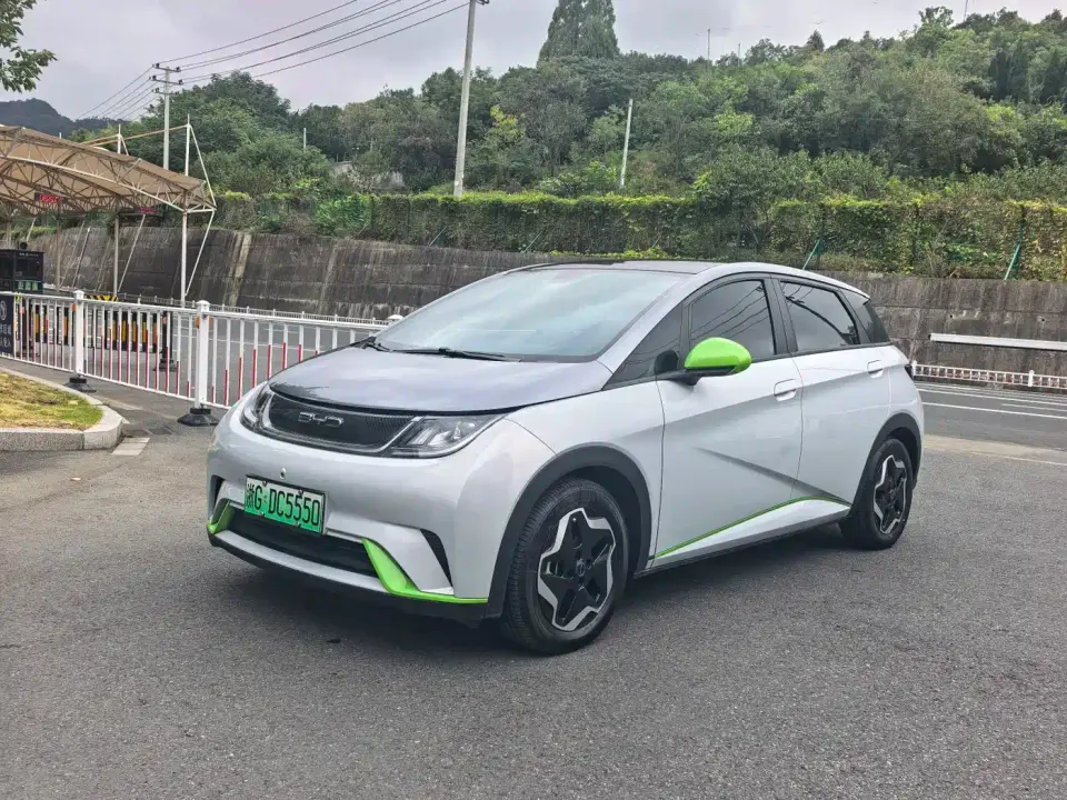 BYD Dolphin Model 405km Fashion Edition 2021