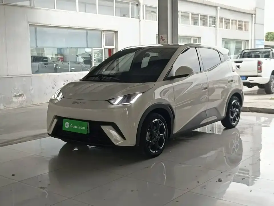 BYD Seagull Glory Edition 405km Soaring Edition 2024
