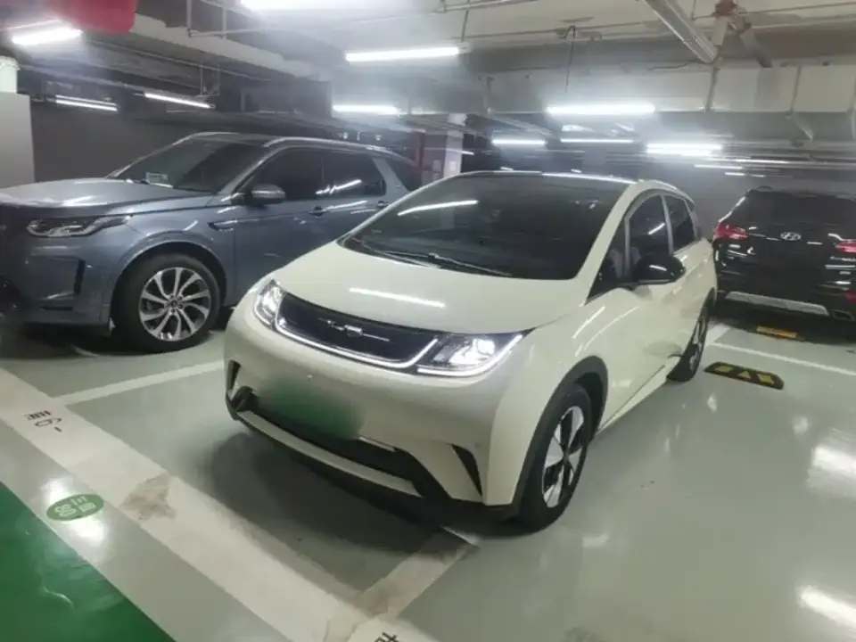 BYD Dolphin 420km Fashion Edition 2023