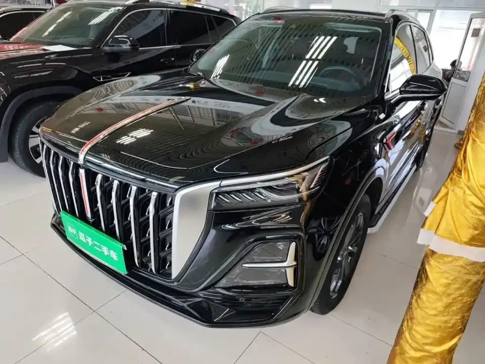Hongqi HS5 2.0T Flag Enjoy Pro Edition 2024