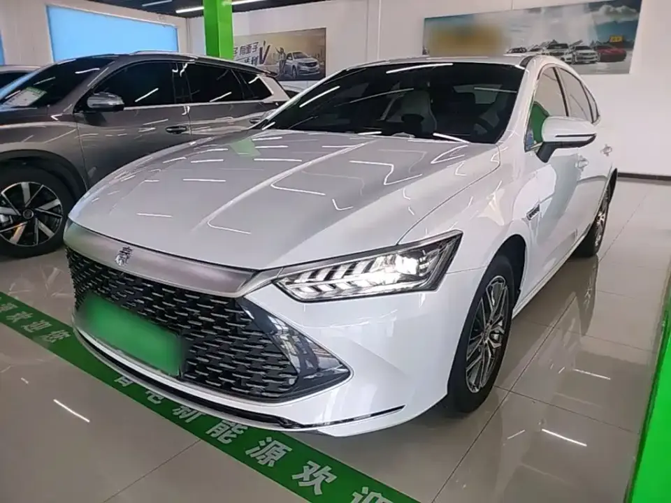 BYD Qin PLUS Champion Edition DM-i 120KM Surpassing Type 2024