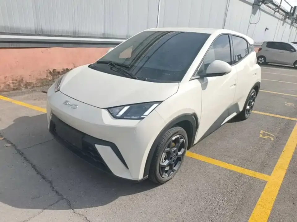 BYD Seagull Glory Edition 305km Freedom Edition 2024