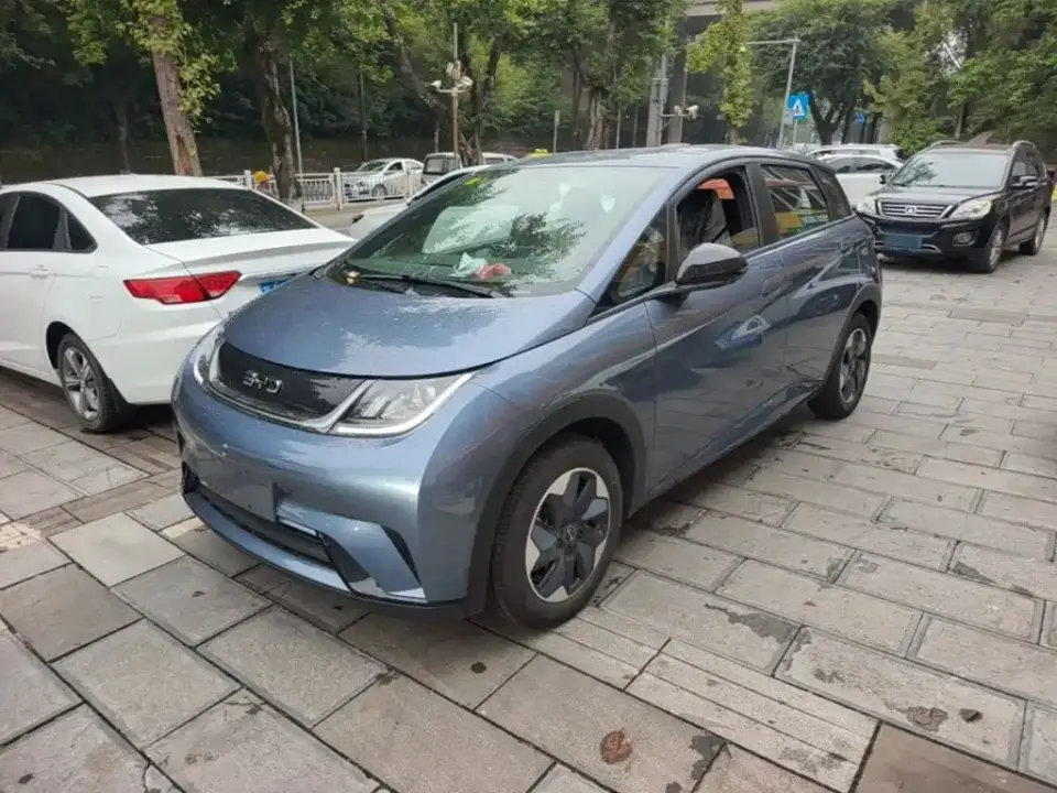 BYD Dolphin 420km Freedom Edition 2026