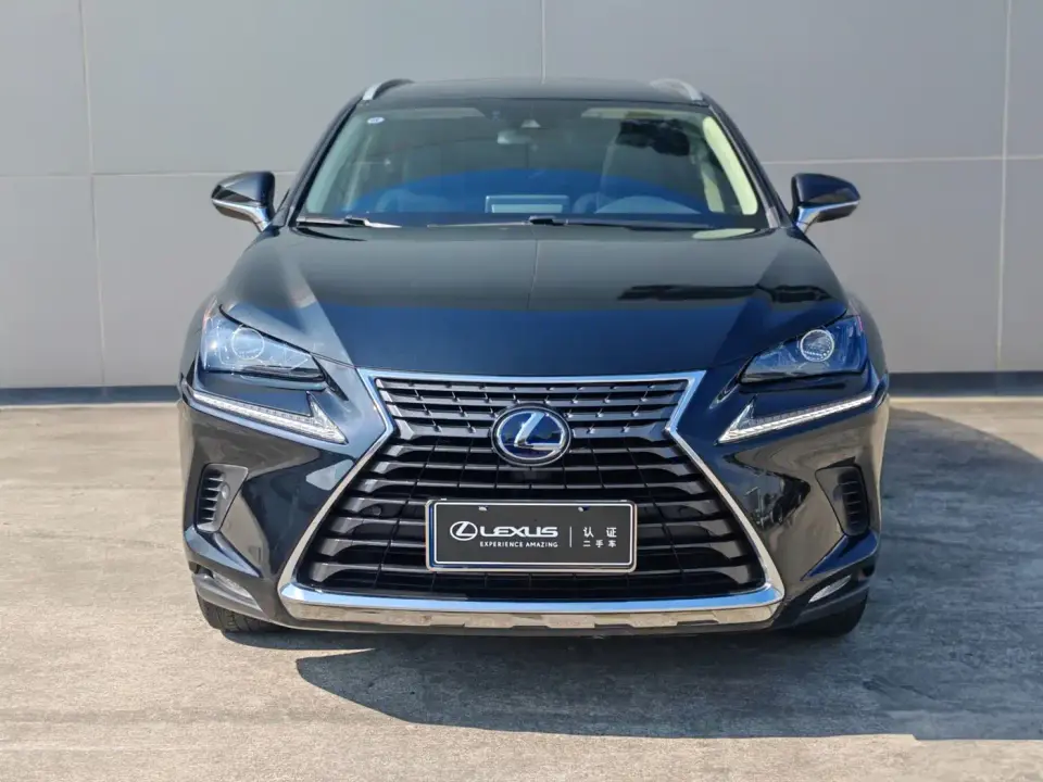 Lexus NX Model 300h FWD Fengshang Edition China V 2019
