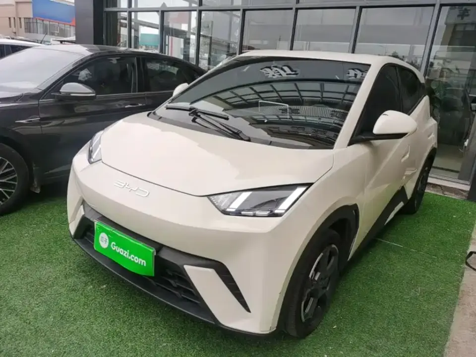 BYD Seagull Flying Edition 2023