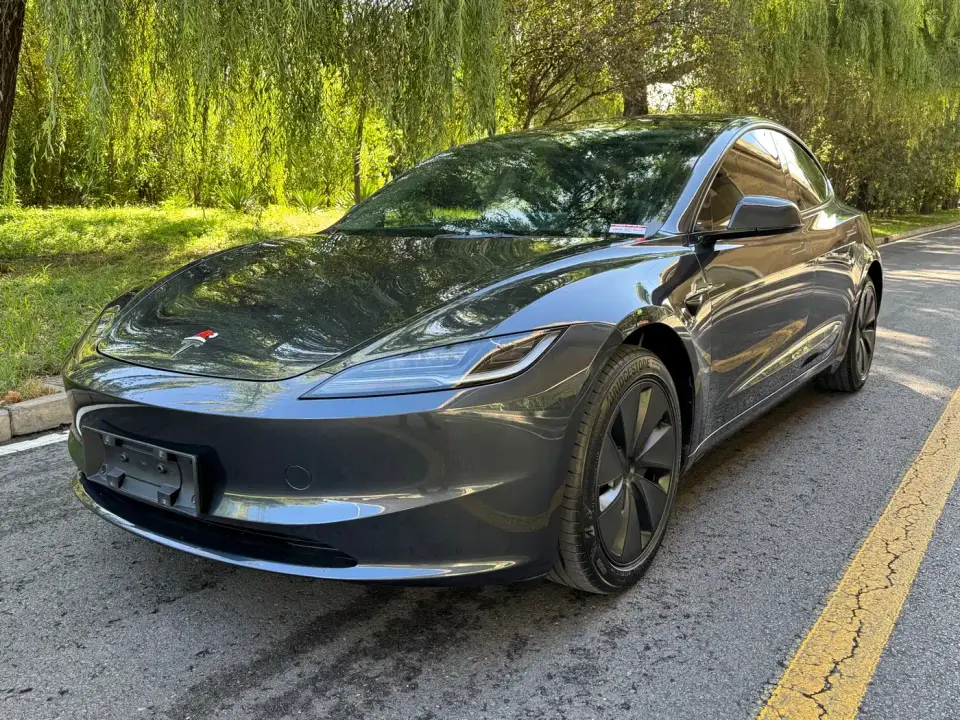 Tesla Model 3 Model Rear-Wheel Drive Edition 2025
