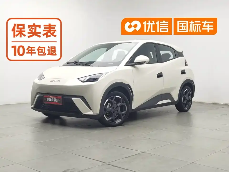 BYD Seagull 305km Vitality 2025