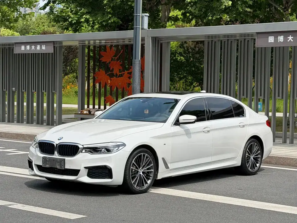 BMW 5 Series 530Li Exclusive M Sport Package 2020
