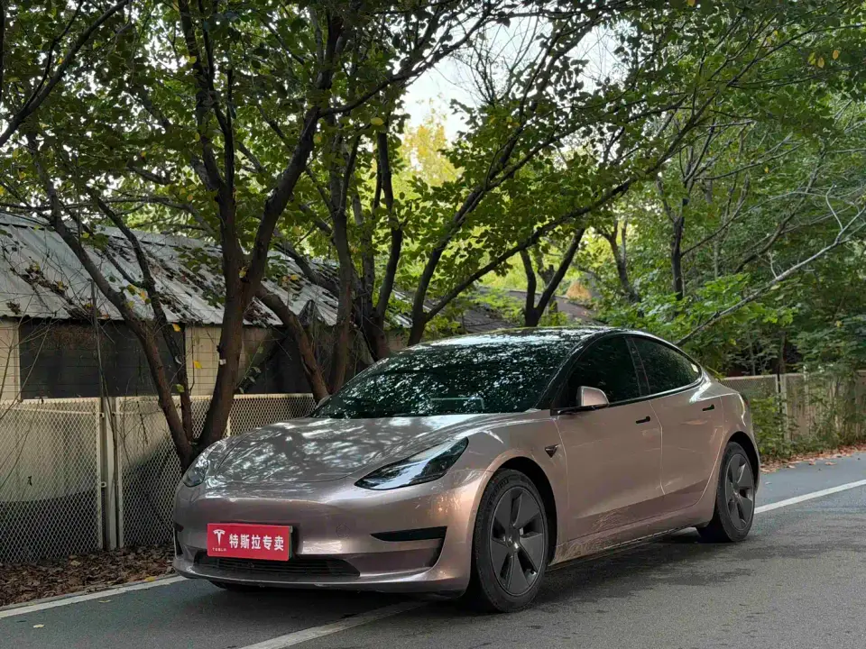Tesla Model 3 Model Rear-Wheel Drive Version 2023