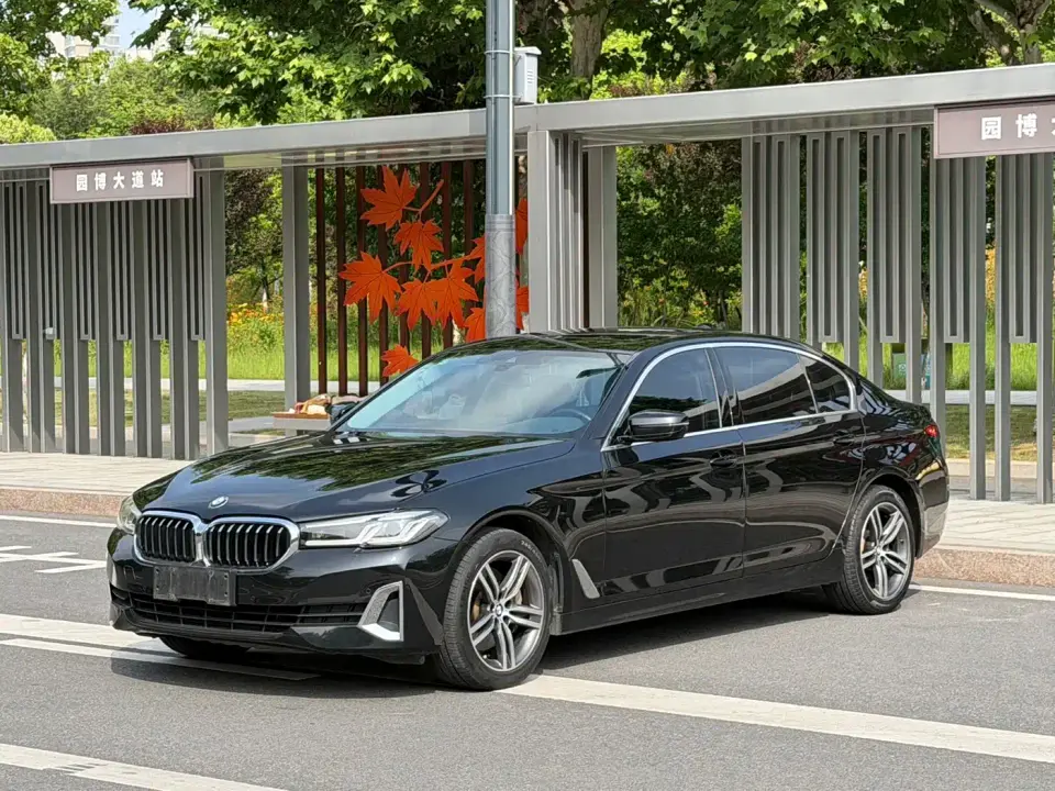 BMW 5 Series 530Li Leading Luxury Package 2021