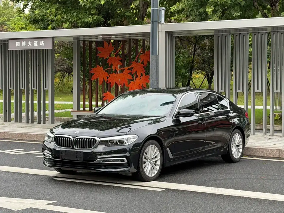 BMW 5 Series 530Li Leading Luxury Package 2019