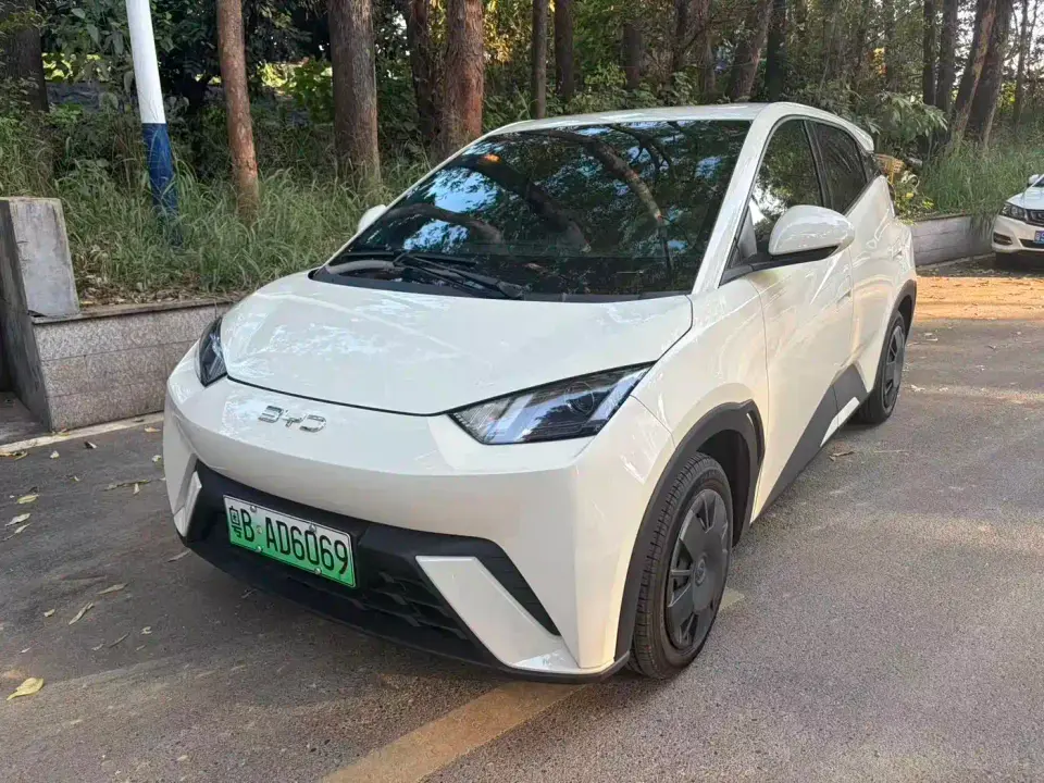 BYD Seagull 305km Freedom 2025