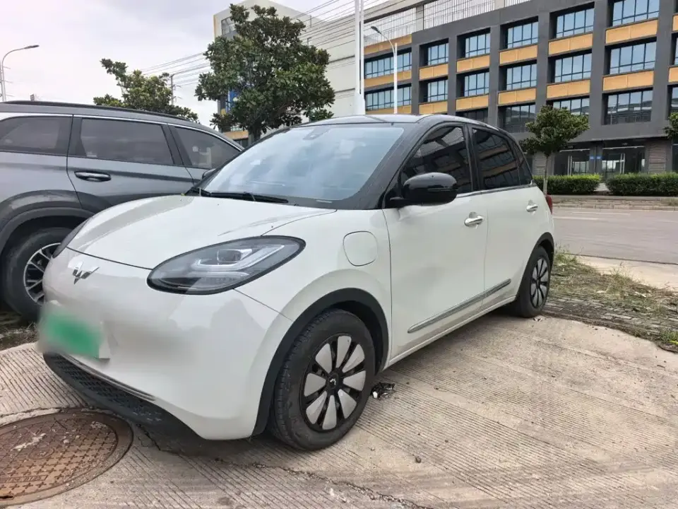 Wuling Motors Wuling Bingo 333km Smart Connectivity Edition 2023