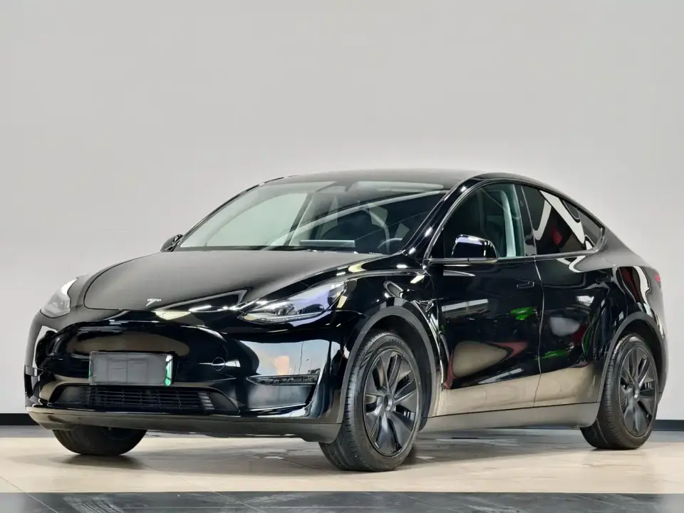 Tesla Model Y Rear-Wheel Drive Version 2024