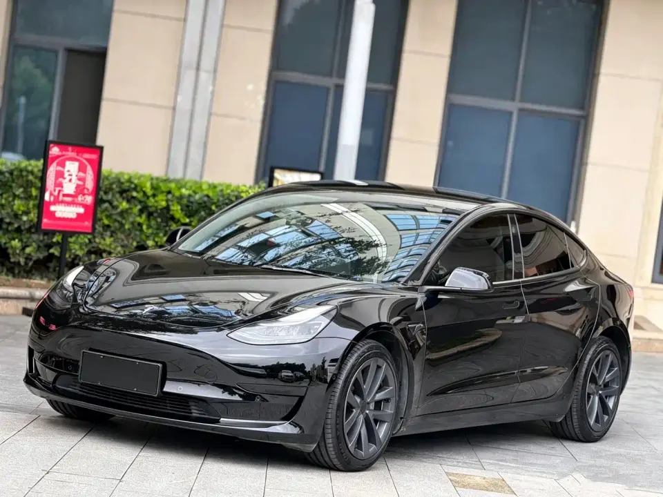 Tesla Model 3 Standard Range Rear-Wheel Drive Upgrade 3D6 2021