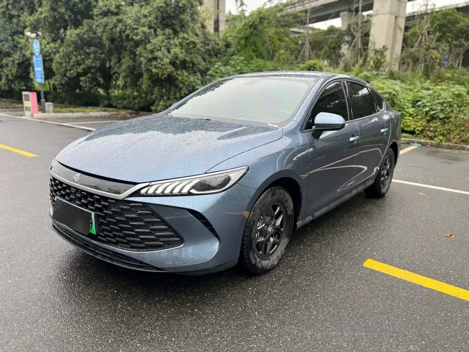 BYD Qin PLUS DM-i Smart Drive 55KM Leader 2025