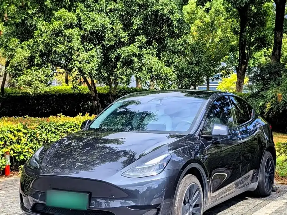 Tesla Model Y Rear-Wheel Drive Version 2024