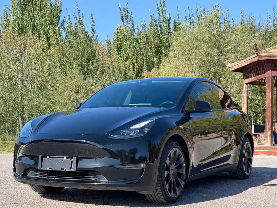 Tesla Model Y Standard Range Rear-Wheel Drive 2021