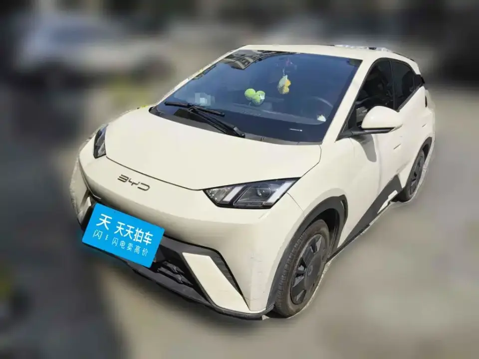 BYD Seagull Vitality Edition 2023