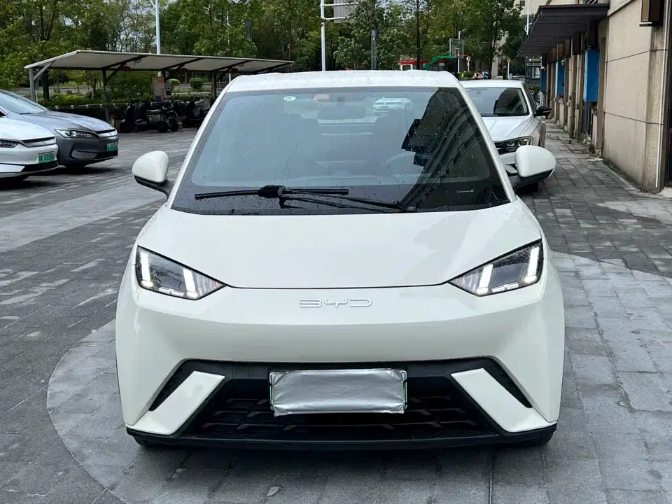 BYD Seagull Glory Edition 405km Soaring Edition 2024