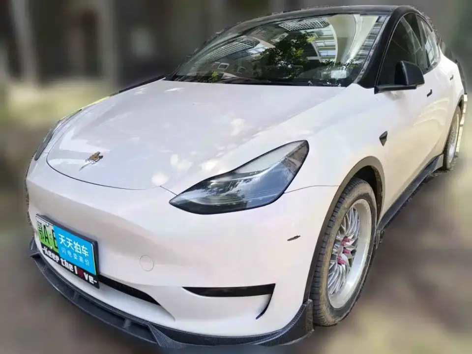 Tesla Model Y Rear-Wheel Drive Version 2022