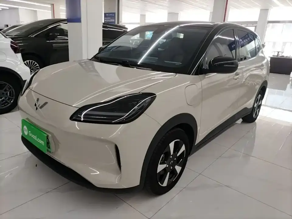 Wuling Motors Wuling Binguo PLUS Model 330km 5-Seater 2024