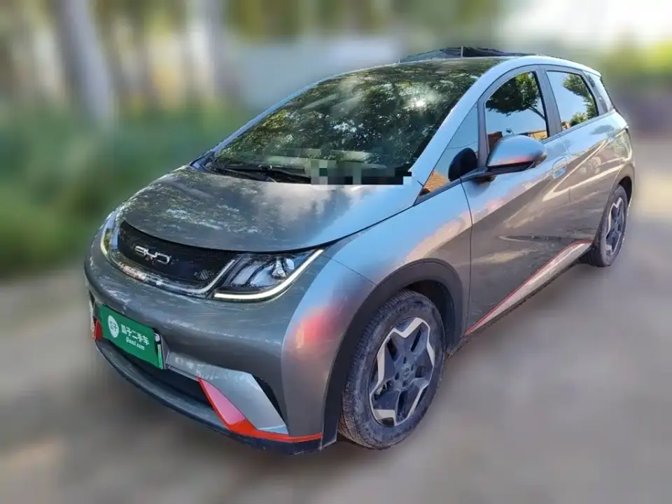 BYD Dolphin Model 405km Fashion Edition 2022