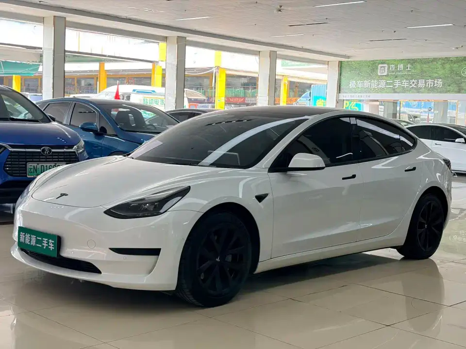 Tesla Model 3 Standard Range Rear-Wheel Drive Upgrade 3D6 2021