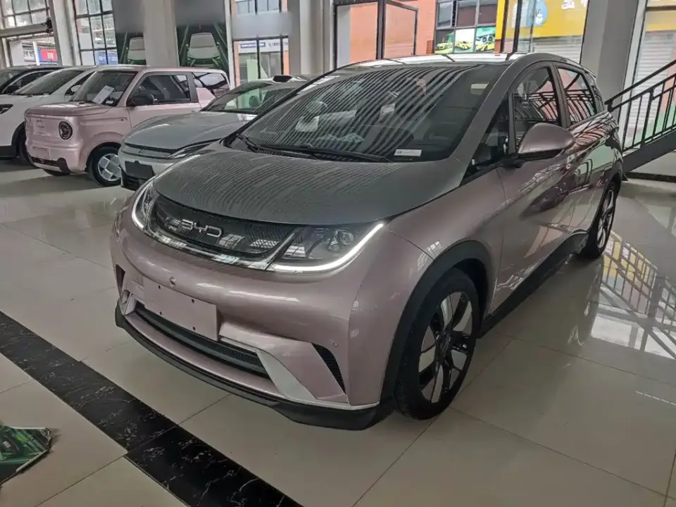 BYD Dolphin 401km Knight Edition 2024