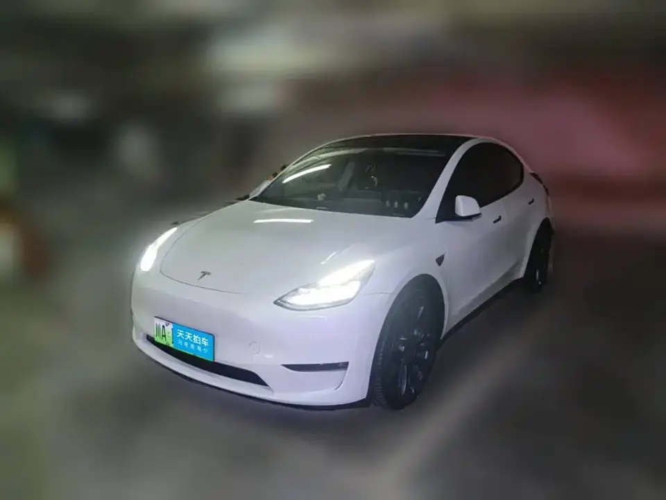 Tesla Model Y Performance 2024