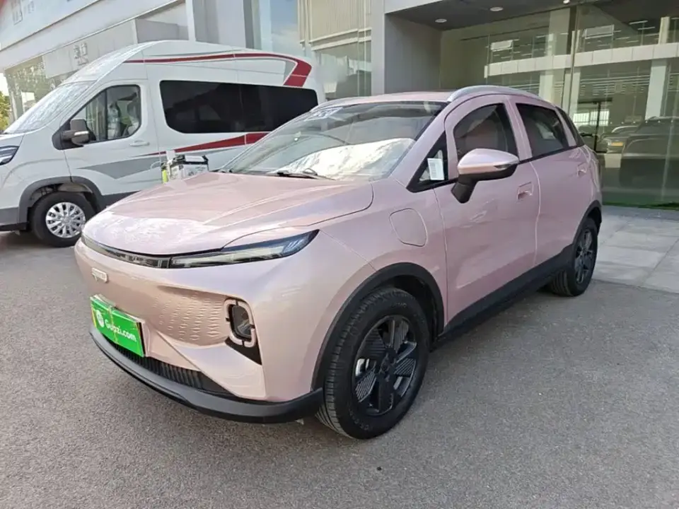 Geely Geometry E Firefly Model 301km Starlight 2024