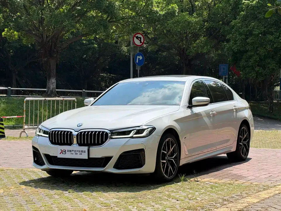 BMW 5 Series Facelift 530Li Premium M Sport Package 2021