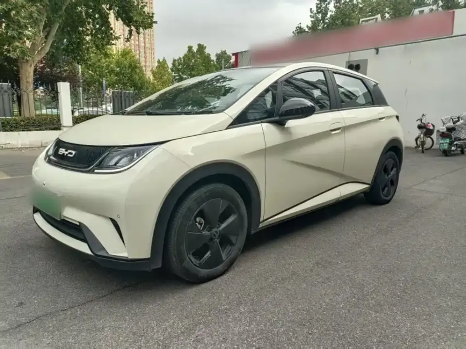 BYD Dolphin 420km Fashion Edition 2024