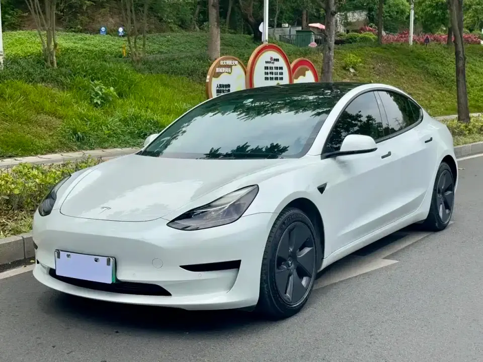 Tesla Model 3 Standard Range Rear-Wheel Drive Upgrade 2021