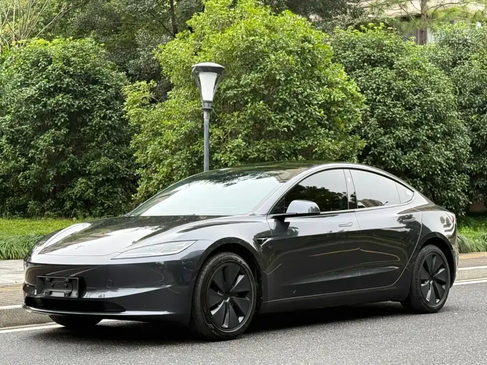 Tesla Model 3 Model Rear-Wheel Drive Edition 2025
