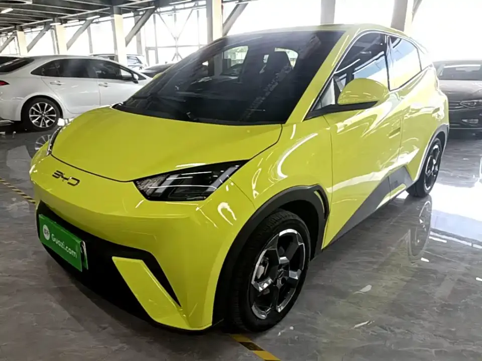 BYD Seagull Glory Edition 305km Freedom Edition 2024
